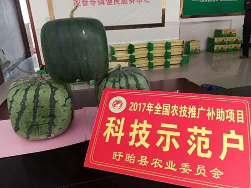 清蒸佛瓜怎么吃