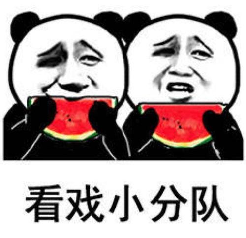 适度吃瓜表情包,揭秘表情包背后的生活哲学
