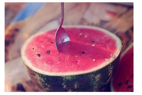 听书吃瓜,畅游知识海洋与娱乐世界