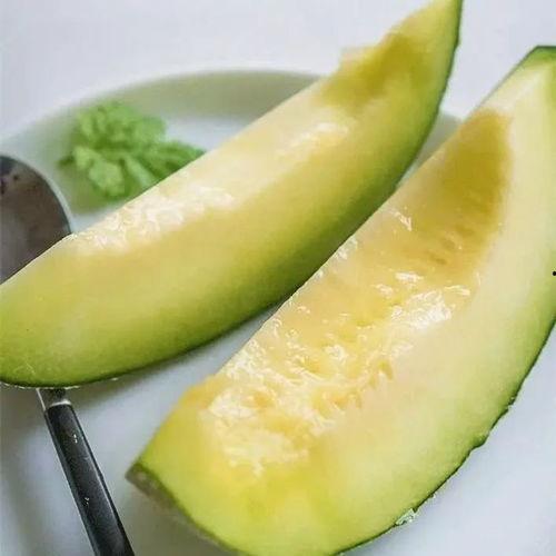 海南经贸吃瓜,吃瓜群众的夏日盛宴