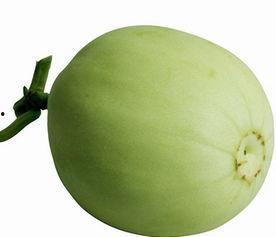 梨瓜几月可以吃,夏季最佳食用指南”