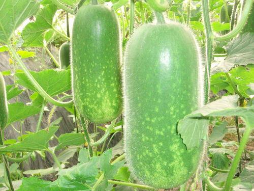 7.3吃瓜精彩事件,盘点年度最热网络事件