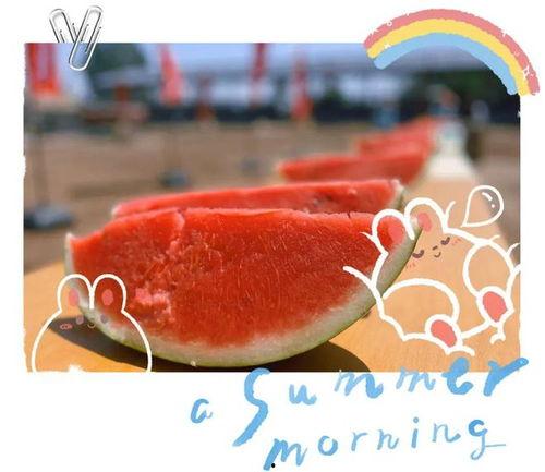 俄乌吃瓜现场,吃瓜群众的现场直击